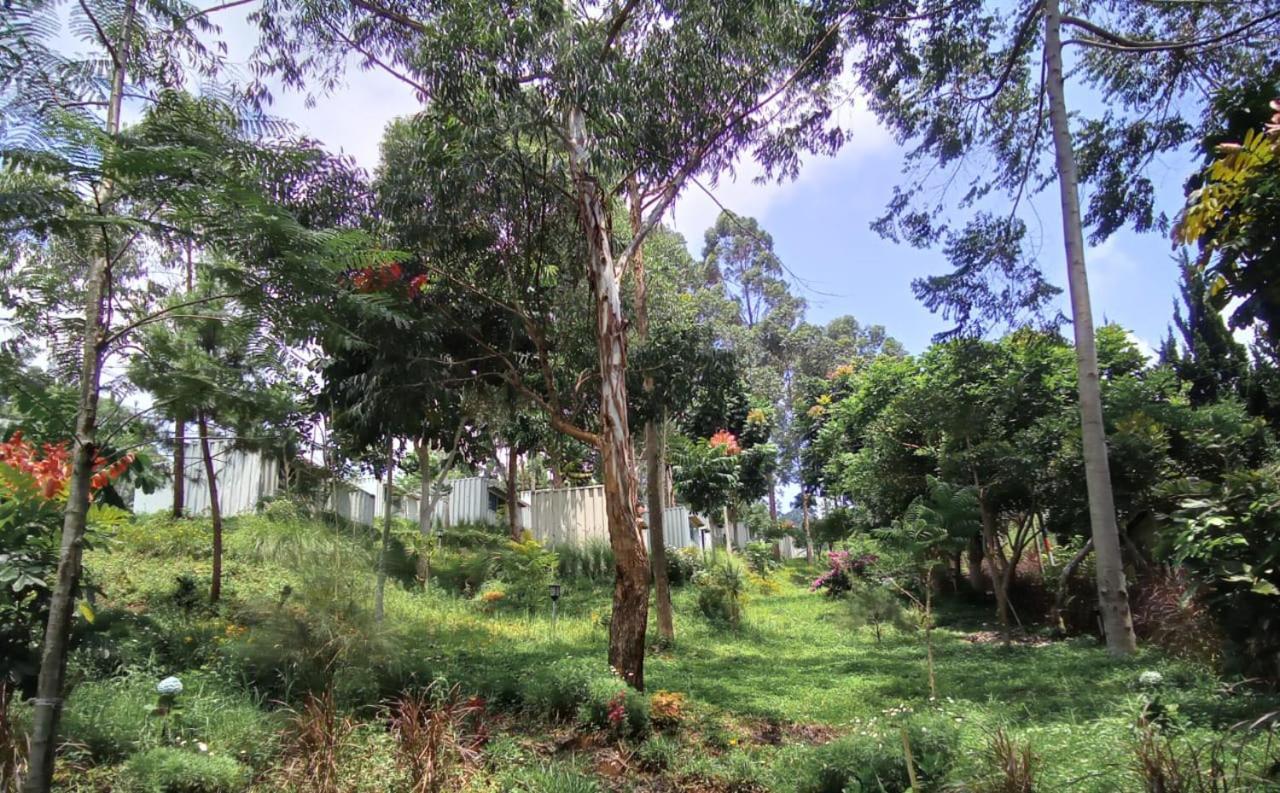 Hotel Bukit Pinus Tegalharendong Bagian luar foto