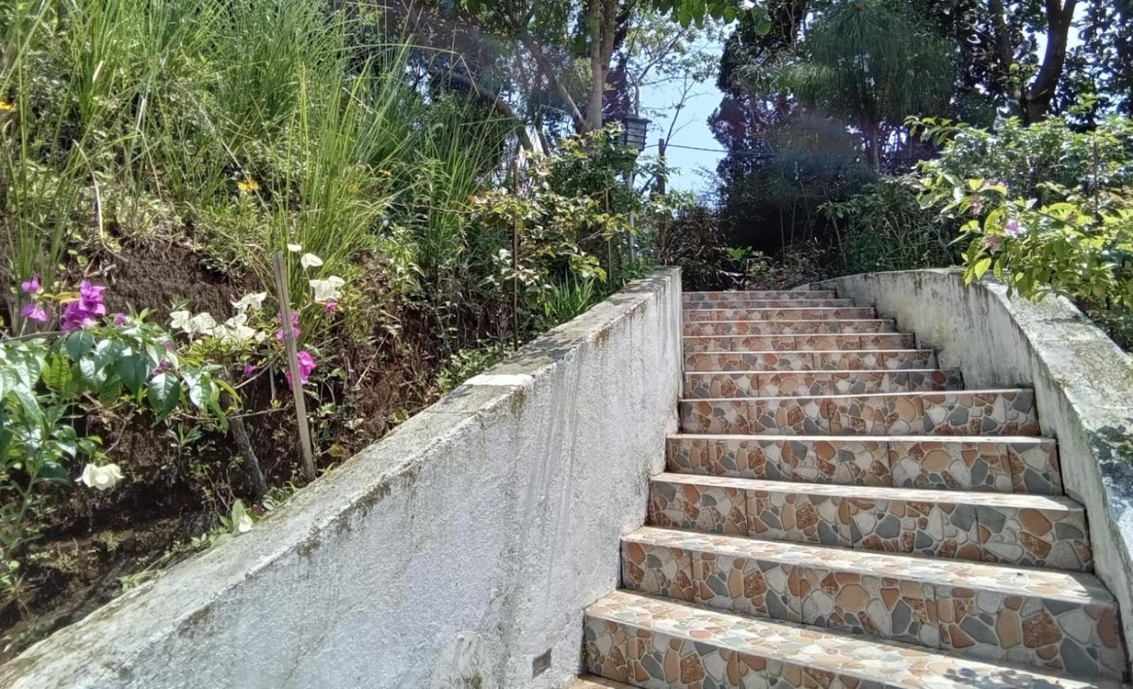 Hotel Bukit Pinus Tegalharendong Bagian luar foto